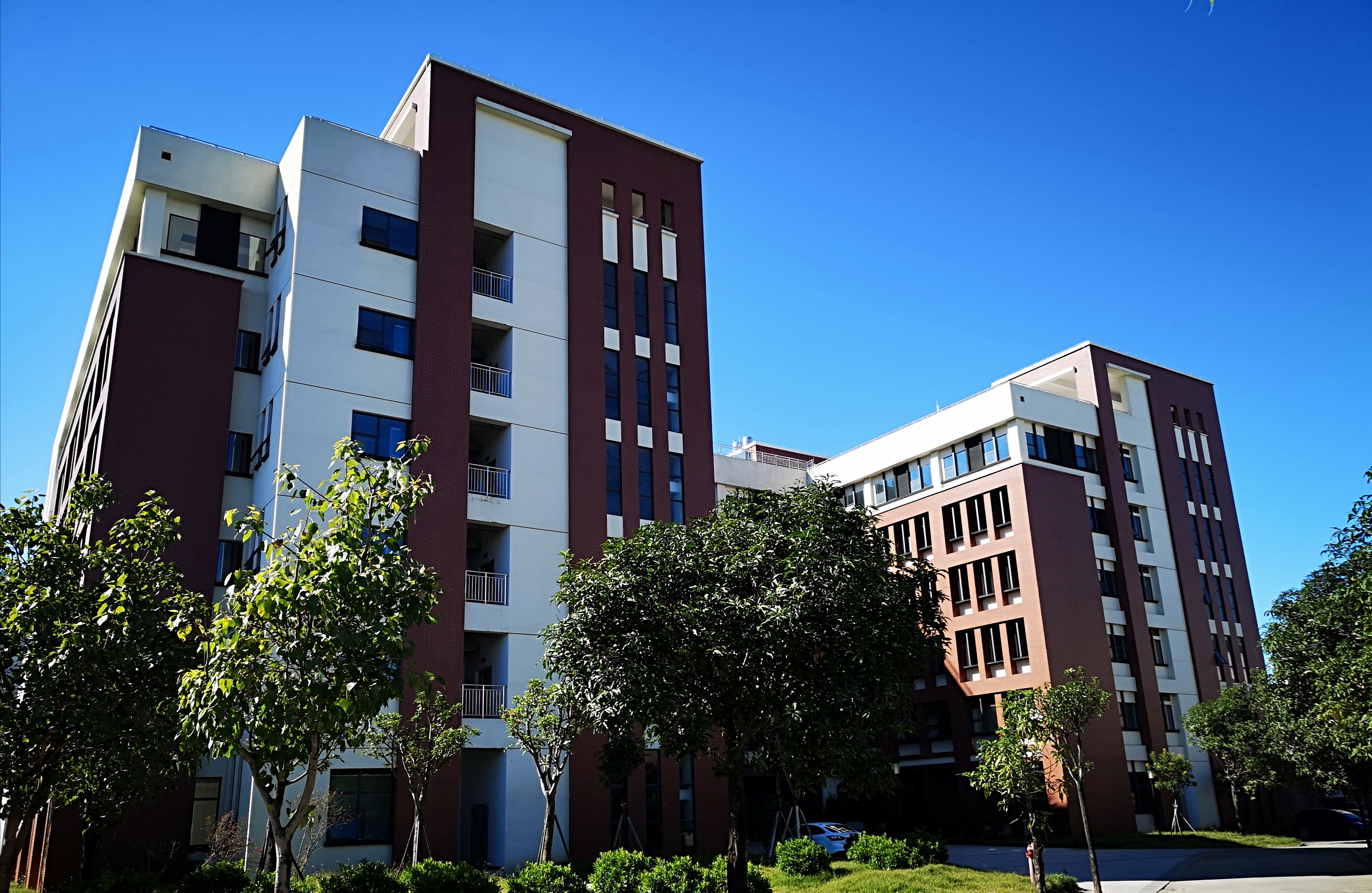 旗山校区13号科研实验楼网络工程建设任务顺利完成